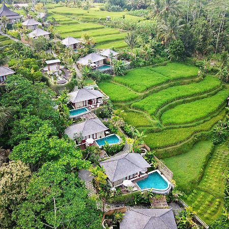Nau Villa Ubud Tegallalang  Exterior foto